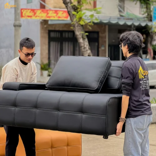 SOFA MINOTTI